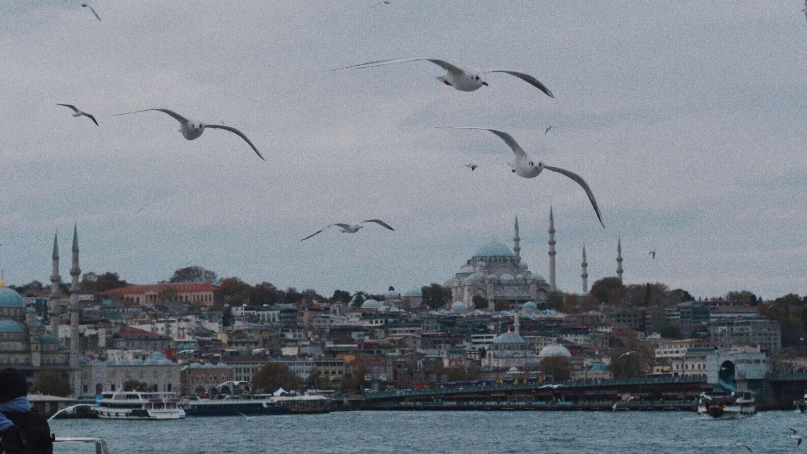 seagulls flying over istanbul skyline